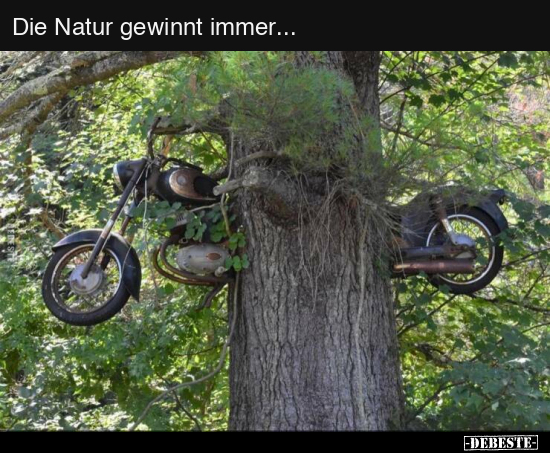 Natur