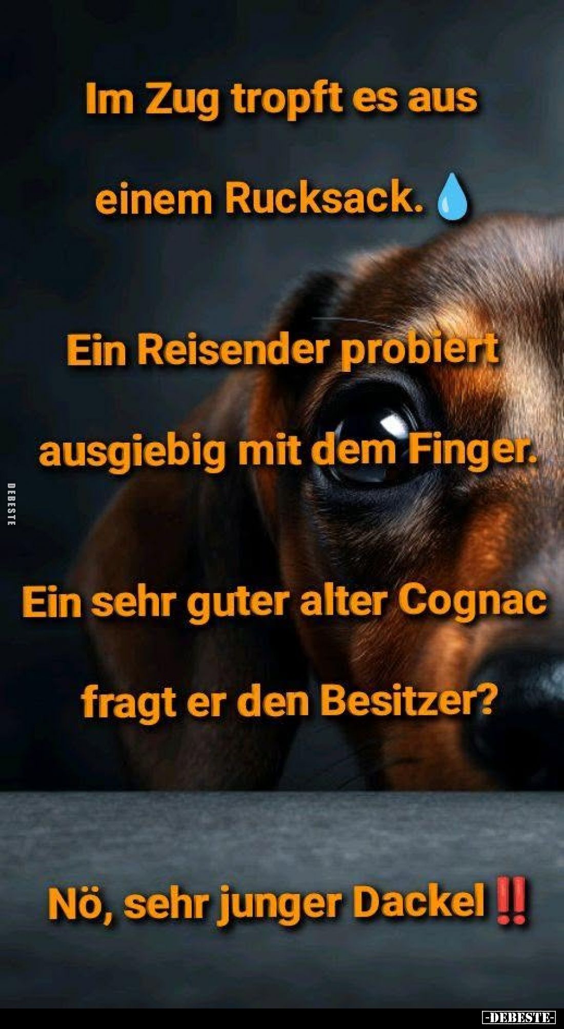 Im Zug tropft es aus einem Rucksack.
Ein Reisender probiert ausgiebig mit dem Finger.
Ein sehr guter alter Cognac fragt er ...