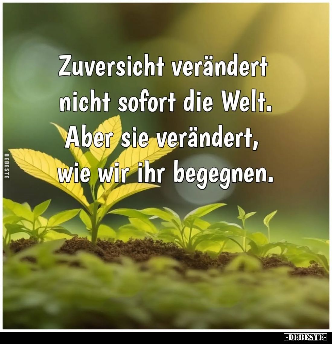 Zuversicht verändert nicht sofort die Welt.
Aber sie verändert, wie wir ihr begegnen.