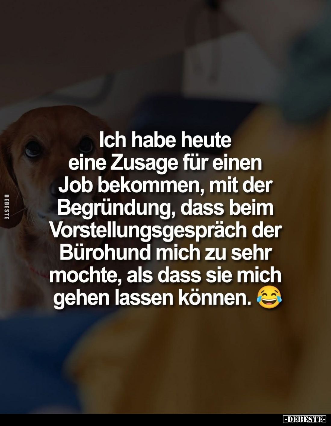 Ich habe heute eine Zusage für einen Job bekommen, mit der Begründung, dass beim Vorstellungsgespräch der Bürohund mich zu se...
