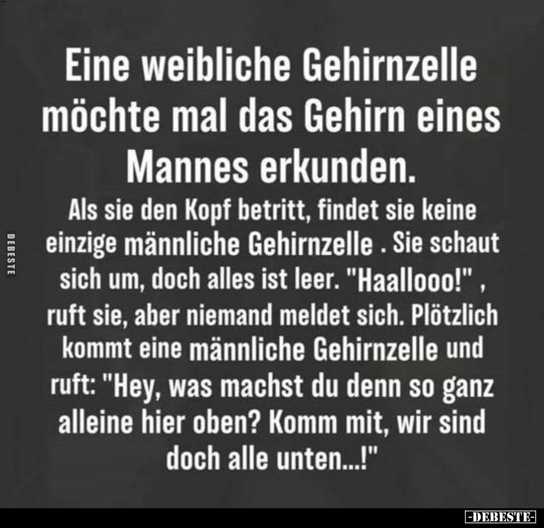 Eine weibliche Gehirnzelle möchte mal das Gehirn eines Mannes erkunden.
Als sie den Kopf betritt, findet sie keine einzige m...