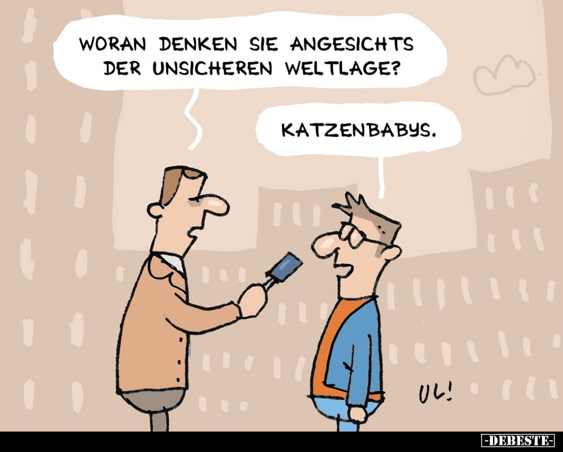 Woran denken sie angesichts der unsicheren Weltlage? -
Katzenbabys.