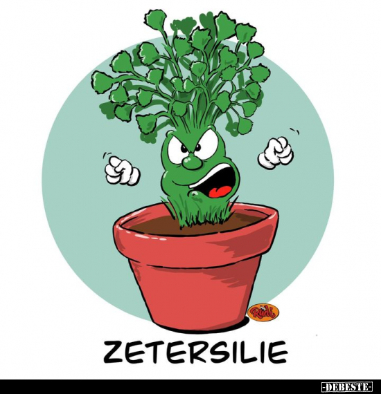 Zetersilie