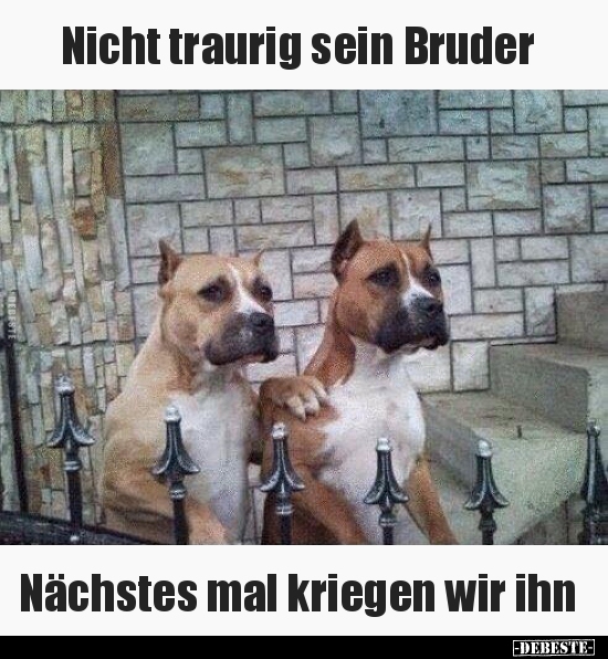 Nicht traurig sein Bruder... - Lustige Bilder | DEBESTE.de