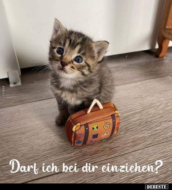 Darf ich bei dir einziehen?..