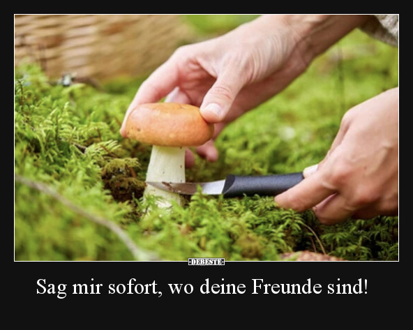 Sag mir sofort, wo deine Freunde sind!.. - Lustige Bilder | DEBESTE.de