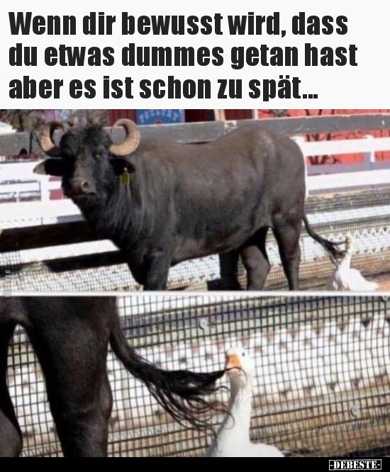 Wenn dir bewusst wird, dass du etwas dummes getan hast aber.. - Lustige Bilder | DEBESTE.de