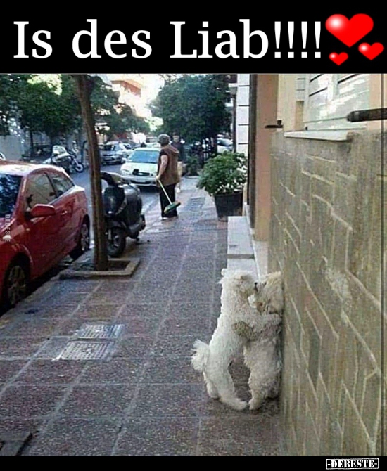 Is des Liab!!..