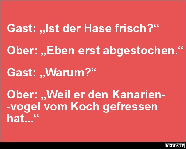 Gast: 'Ist der Hase frisch?' - Lustige Bilder | DEBESTE.de