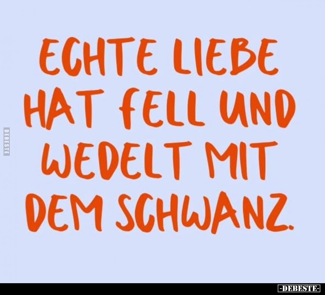 Echte Liebe
hat Fell und
wedelt mit
dem Schwanz.