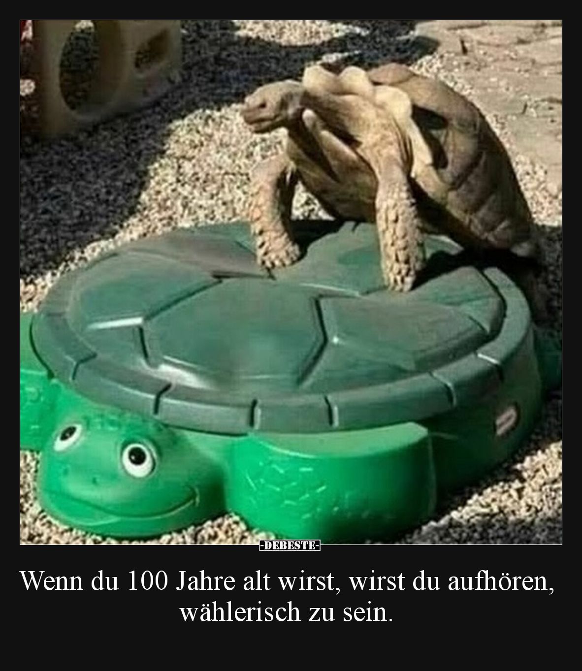 Wenn du 100 Jahre alt wirst, wirst du aufhören, wählerisch zu sein.