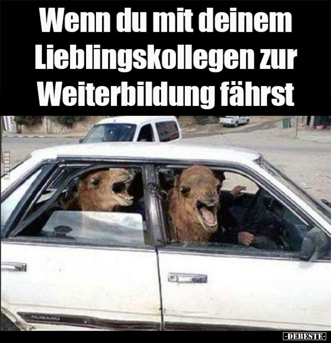 Wenn du mit deinem
Lieblingskollegen zur
Weiterbildung fährst.