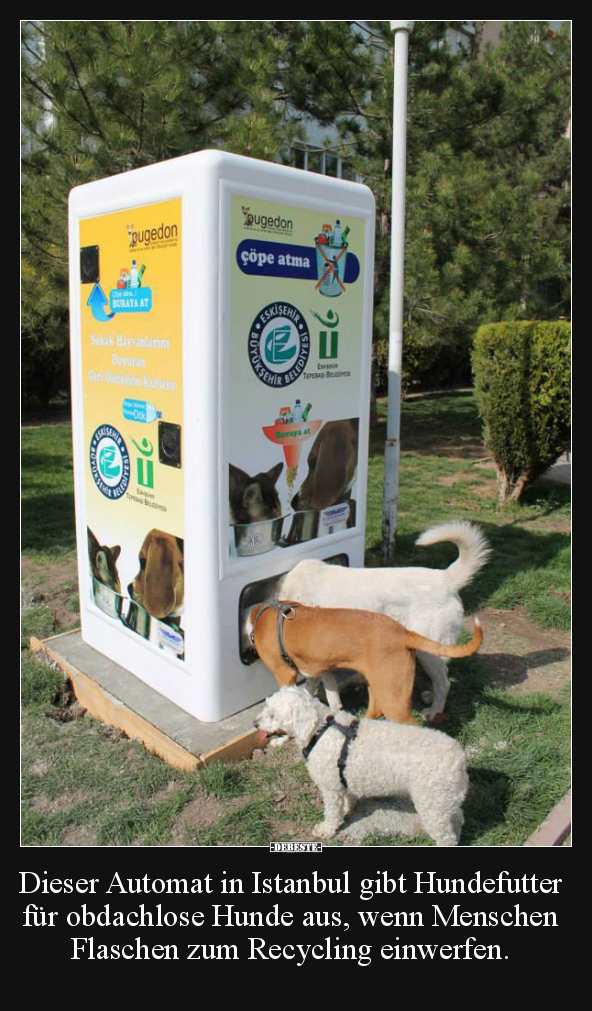 Dieser Automat in Istanbul gibt Hundefutter.. - Lustige Bilder | DEBESTE.de