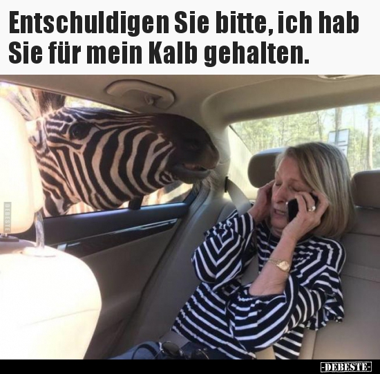 Entschuldigen Sie bitte, ich hab Sie für mein Kalb..