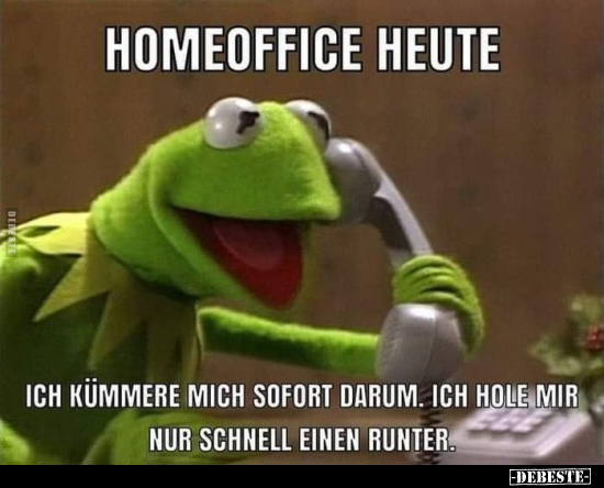 Homeoffice heute.. Ich kümmere mich sofort darum.. - Lustige Bilder | DEBESTE.de