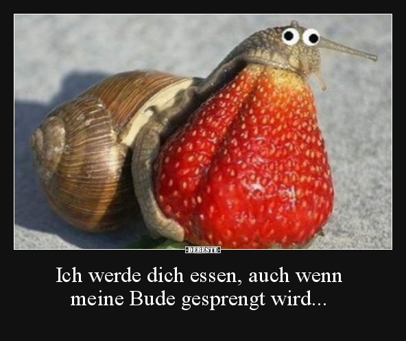Ich werde dich essen, auch wenn meine Bude gesprengt..
