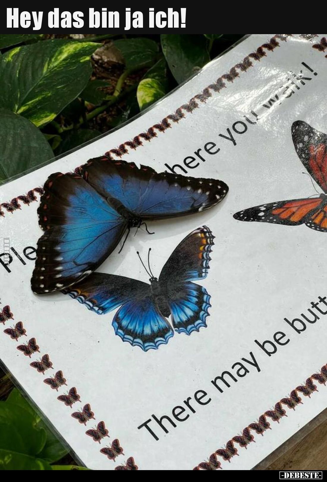 Hey das bin ja ich!..