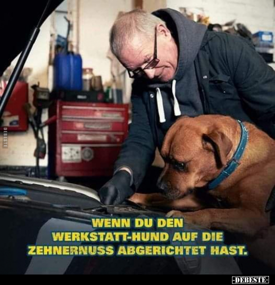 Wenn du den Werkstatt-Hund auf die Zehnernuss abgerichtet.. - Lustige Bilder | DEBESTE.de