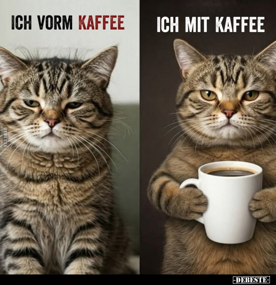 Kaffee, Mit Kaffee