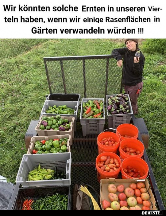 Wir könnten solche Ernten in unseren Vierteln haben.. - Lustige Bilder | DEBESTE.de
