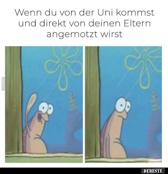 Wenn du von der Uni kommst und direkt von deinen Eltern.. - Lustige Bilder | DEBESTE.de