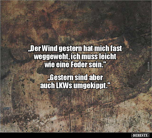 "Der Wind gestern hat mich fast weggeweht, ich muss.." - Lustige Bilder | DEBESTE.de