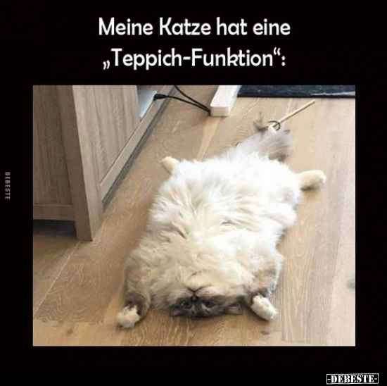 Meine Katze hat eine "Teppich-Funktion".. - Lustige Bilder | DEBESTE.de