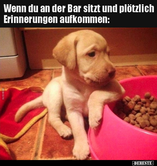 Wenn du an der Bar sitzt und plötzlich Erinnerungen.. - Lustige Bilder | DEBESTE.de