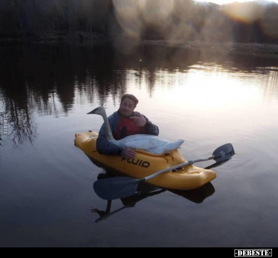  - Lustige Bilder | DEBESTE.de