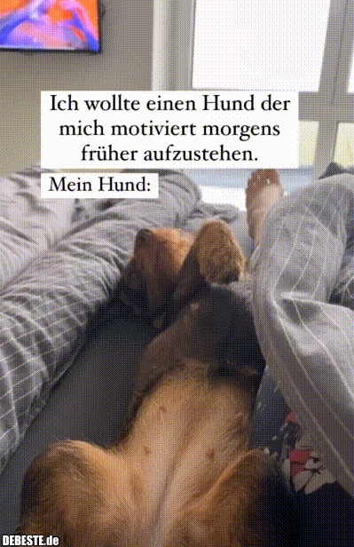 Hund hat auch keine Lust - Lustige Bilder | DEBESTE.de