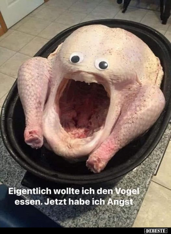 Eigentlich wollte ich den Vogel essen. Jetzt habe ich Angst.. - Lustige Bilder | DEBESTE.de