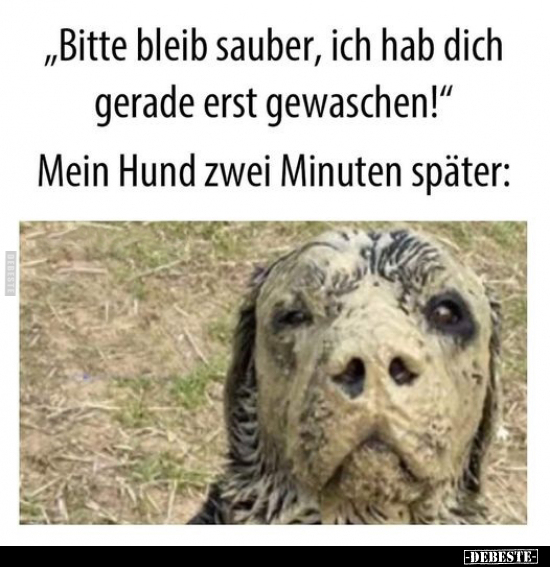 "Bitte bleib sauber, ich hab dich gerade erst gewaschen!".. - Lustige Bilder | DEBESTE.de