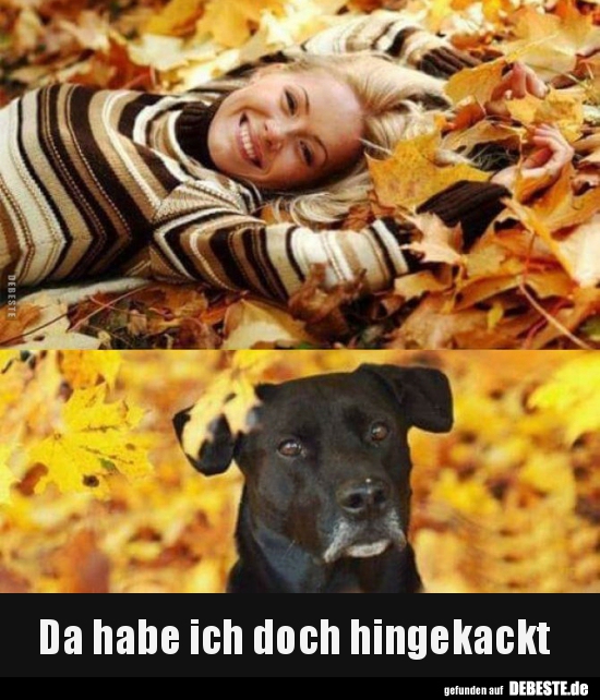 Da habe ich doch hingekackt..