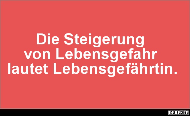 Die Steigerung von Lebensgefahr lautet Lebensgefährtin.. - Lustige Bilder | DEBESTE.de
