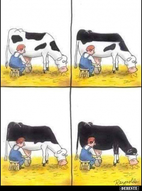  - Lustige Bilder | DEBESTE.de