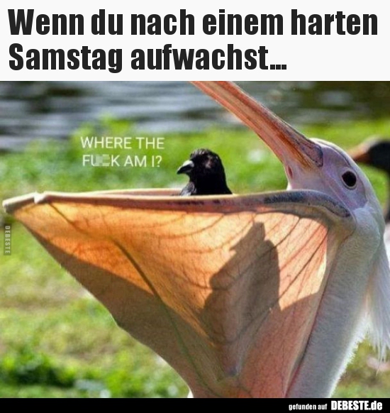 Wenn du nach einem harten Samstag aufwachst...