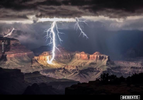  - Lustige Bilder | DEBESTE.de