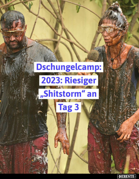 Dschungelcamp: 2023: Riesiger "Shitstorm" an Tag 3.. - Lustige Bilder | DEBESTE.de