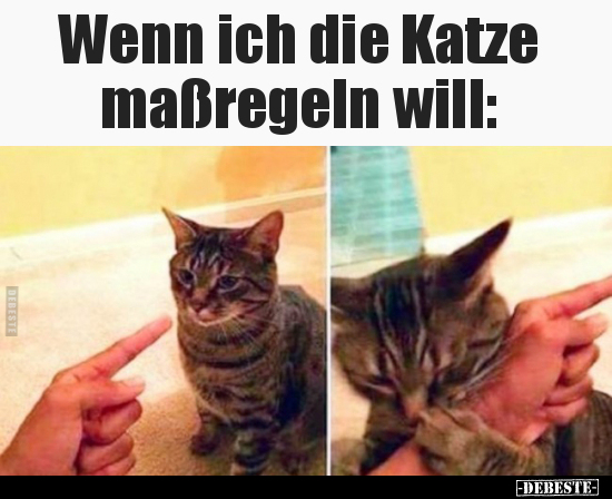 Wenn ich die Katze maßregeln will.. - Lustige Bilder | DEBESTE.de