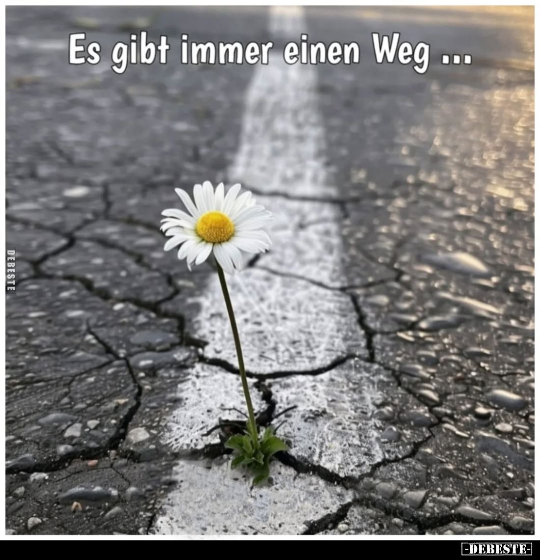 Es gibt immer einen Weg.