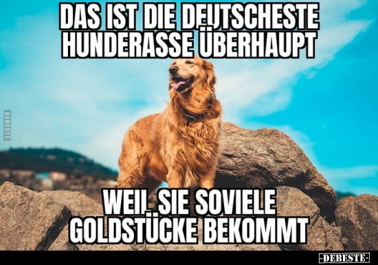 Das ist die Deutscheste Hunderasse überhaupt, weil sie so.. - Lustige Bilder | DEBESTE.de