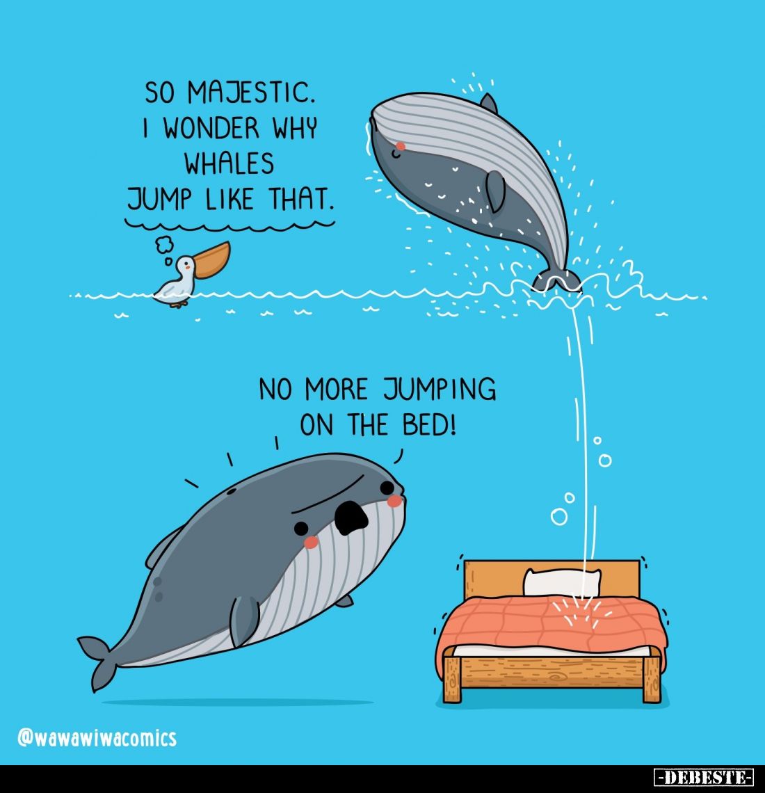 So majestic. I wonder why whales jump like that. -
No more jumping on the bed!