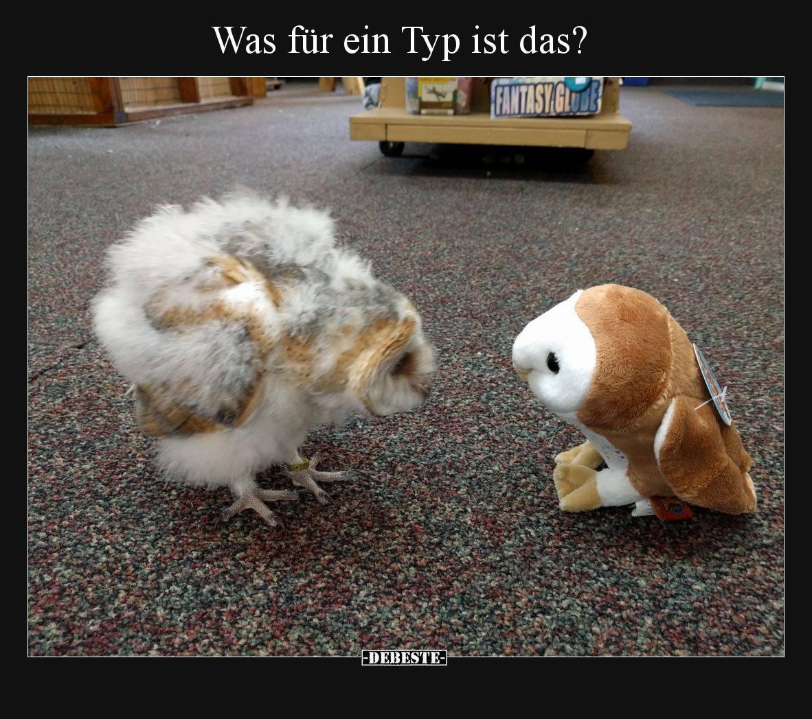 Was für ein Typ ist das?