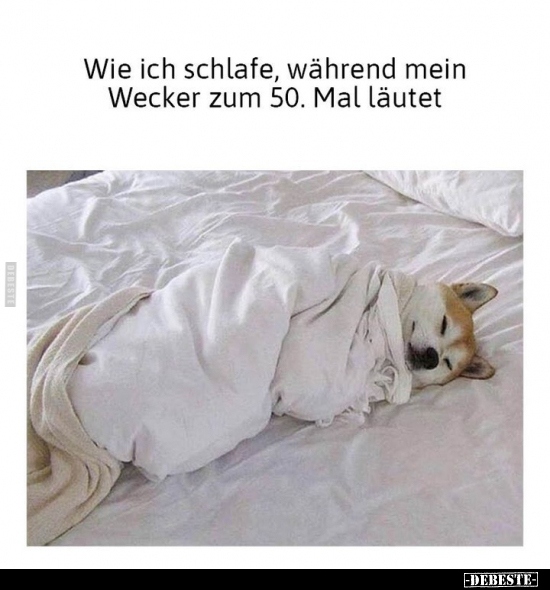 Wie ich schlafe, während mein Wecker zum 50. Mal.. - Lustige Bilder | DEBESTE.de