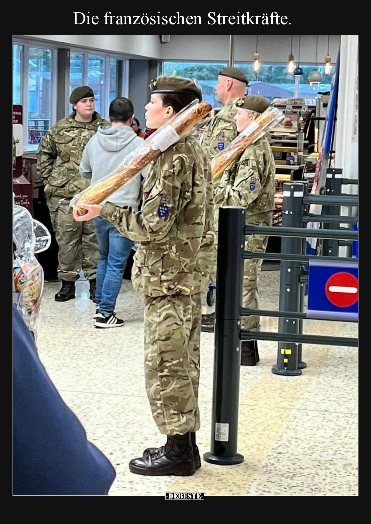 Die französischen Streitkräfte