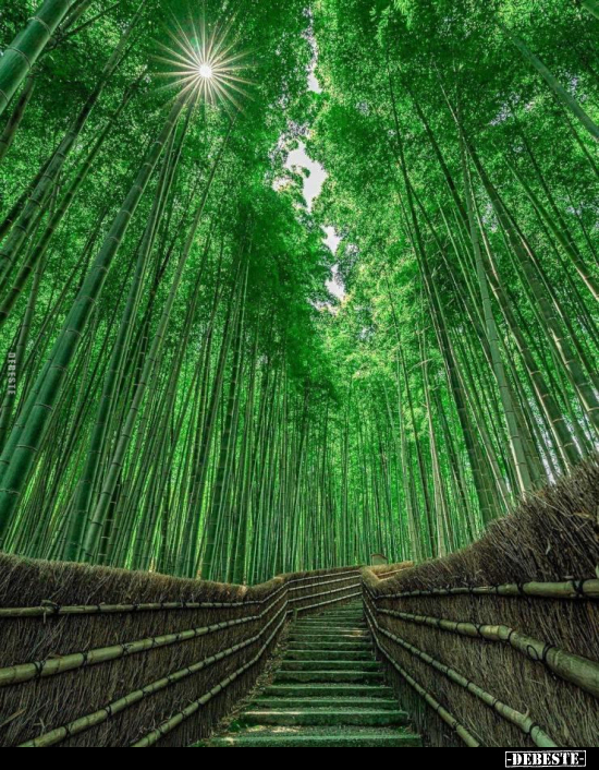  - Lustige Bilder | DEBESTE.de