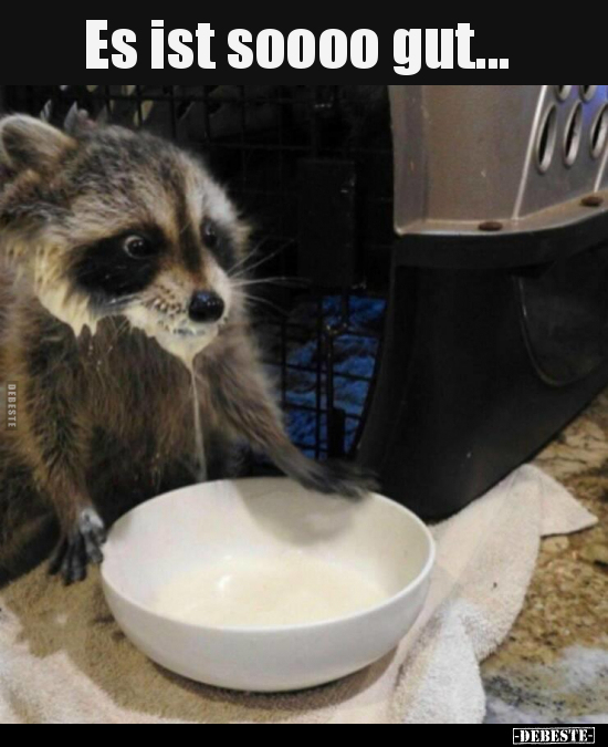 Es ist soooo gut...