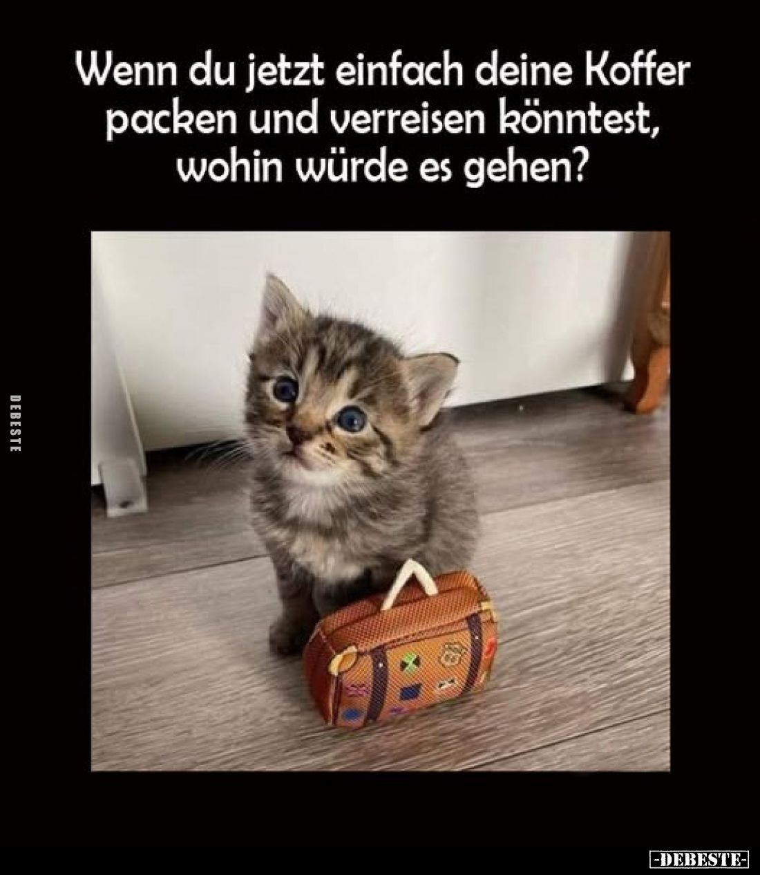 Wenn du jetzt einfach deine Koffer packen und verreisen könntest, wohin würde es gehen?