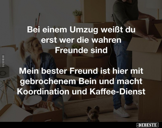 Bei einem Umzug weißt du erst wer die wahren Freunde.. - Lustige Bilder | DEBESTE.de