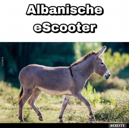 Albanische eScooter.. - Lustige Bilder | DEBESTE.de